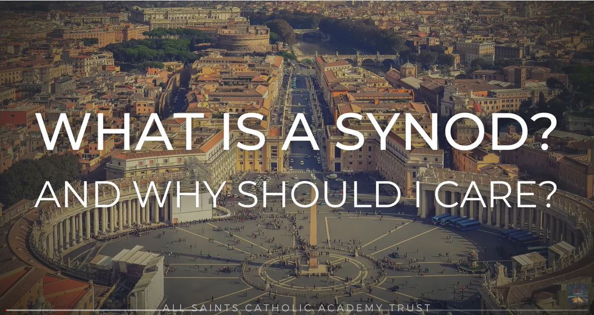 what is a synod